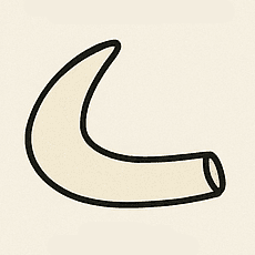 Ivory