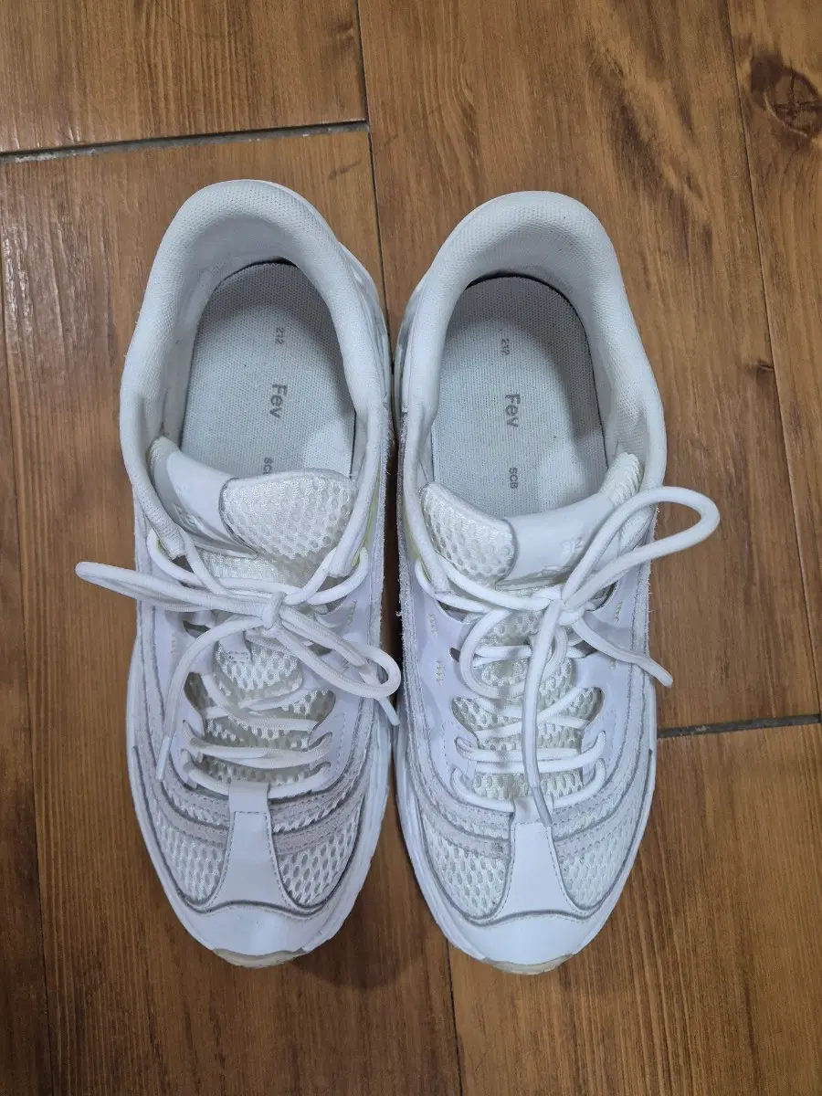 SUECOMMA BONNIE sneakers 255